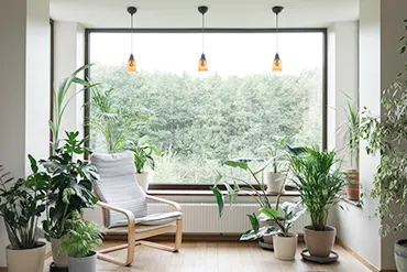 Biophilic design elements