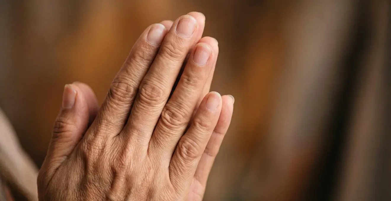 Hands mid-gesture demonstrating a meaningful communication motion with cultural significance for language learning